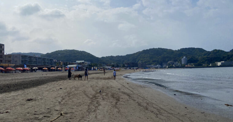 朝の逗子海岸散歩とその後のチルタイムにお勧めのカフェと海の家