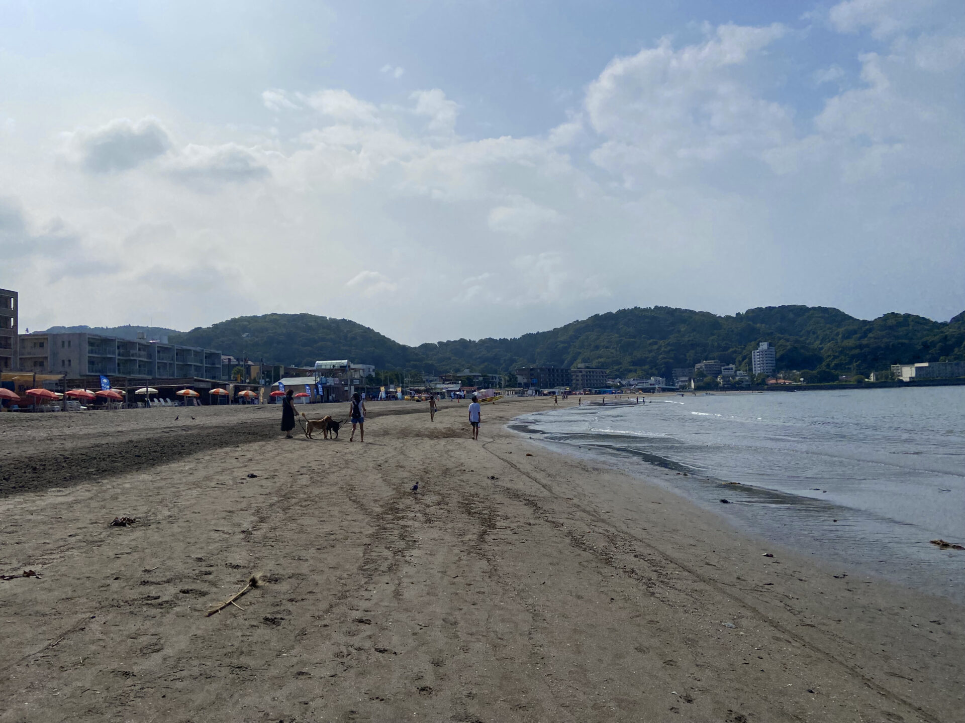 朝の逗子海岸散歩とその後のチルタイムにお勧めのカフェと海の家