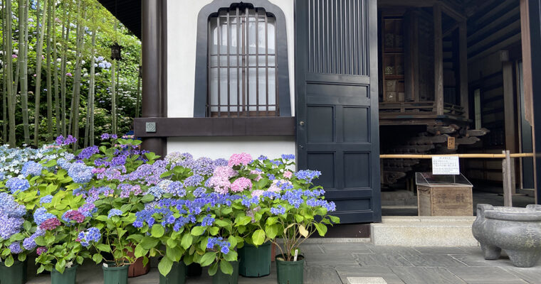 1HOUR JOURNEY FROM TOKYO. KAMAKURA, THE BIRTHPLACE OF ‘SAMURAI’