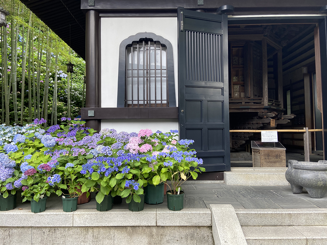 1HOUR JOURNEY FROM TOKYO. KAMAKURA, THE BIRTHPLACE OF ‘SAMURAI’